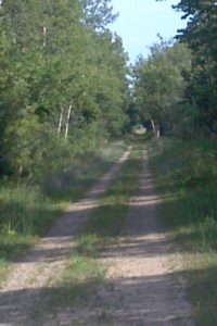 FMBT Trail 2