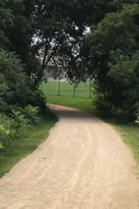 FMBT Trail with Trees